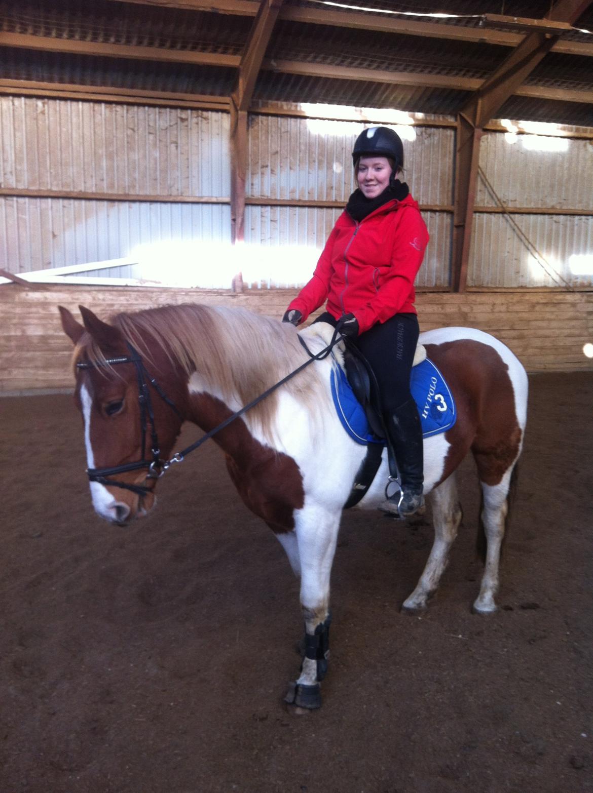 Pinto Claus billede 15