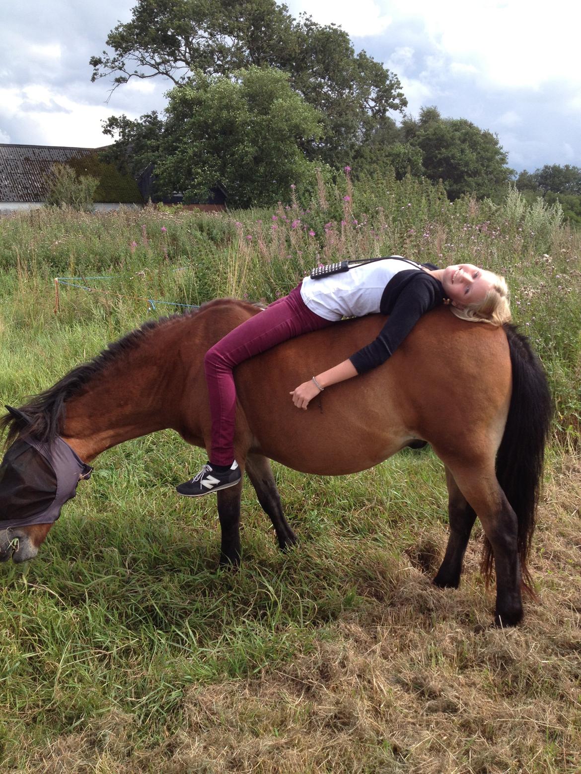 Anden særlig race Buster Larsen <3solgt :.- billede 20