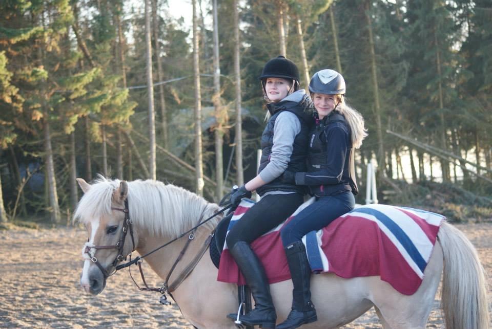 Anden særlig race Duchesse II billede 14