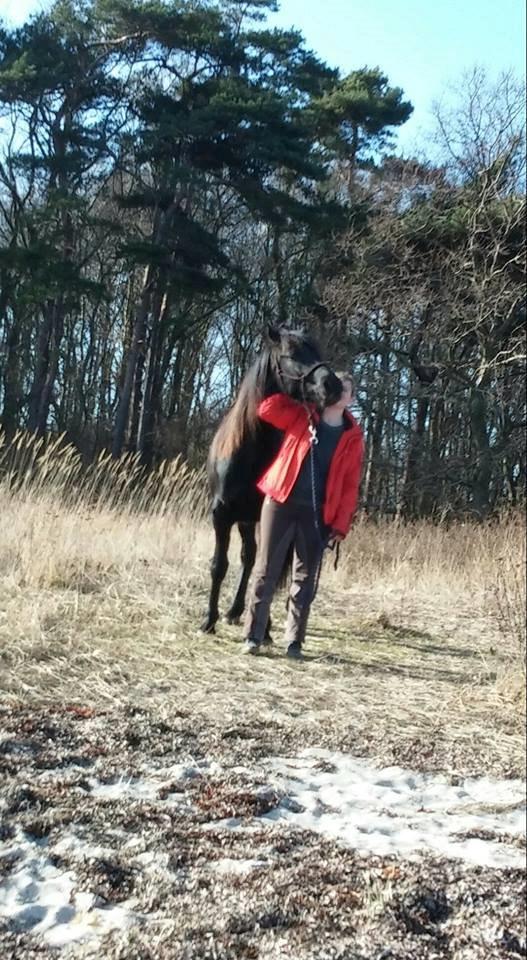 Anden særlig race Afrodite - Hygge på stranden februar 2014 billede 3