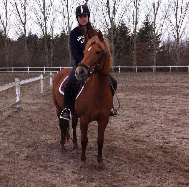 Anden særlig race Isadora billede 17