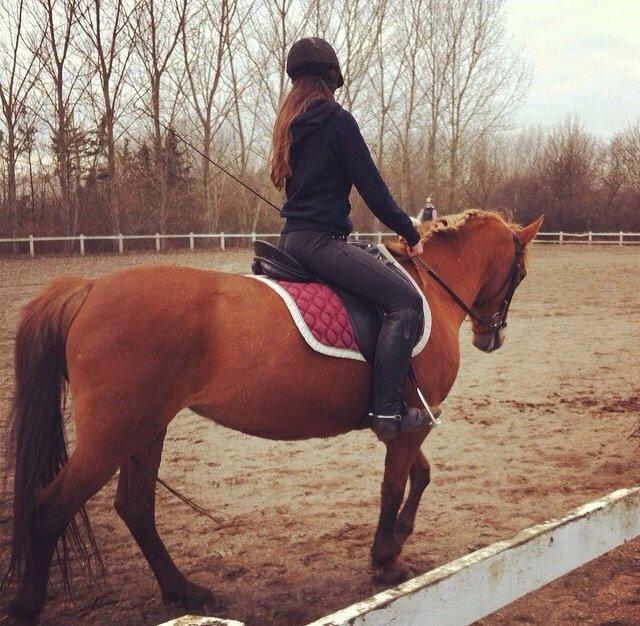 Anden særlig race Isadora billede 18