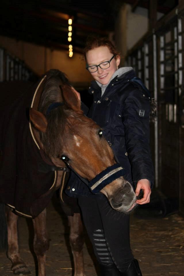 DSP Kærvangs GoldenFox - Min skat <3 billede 6