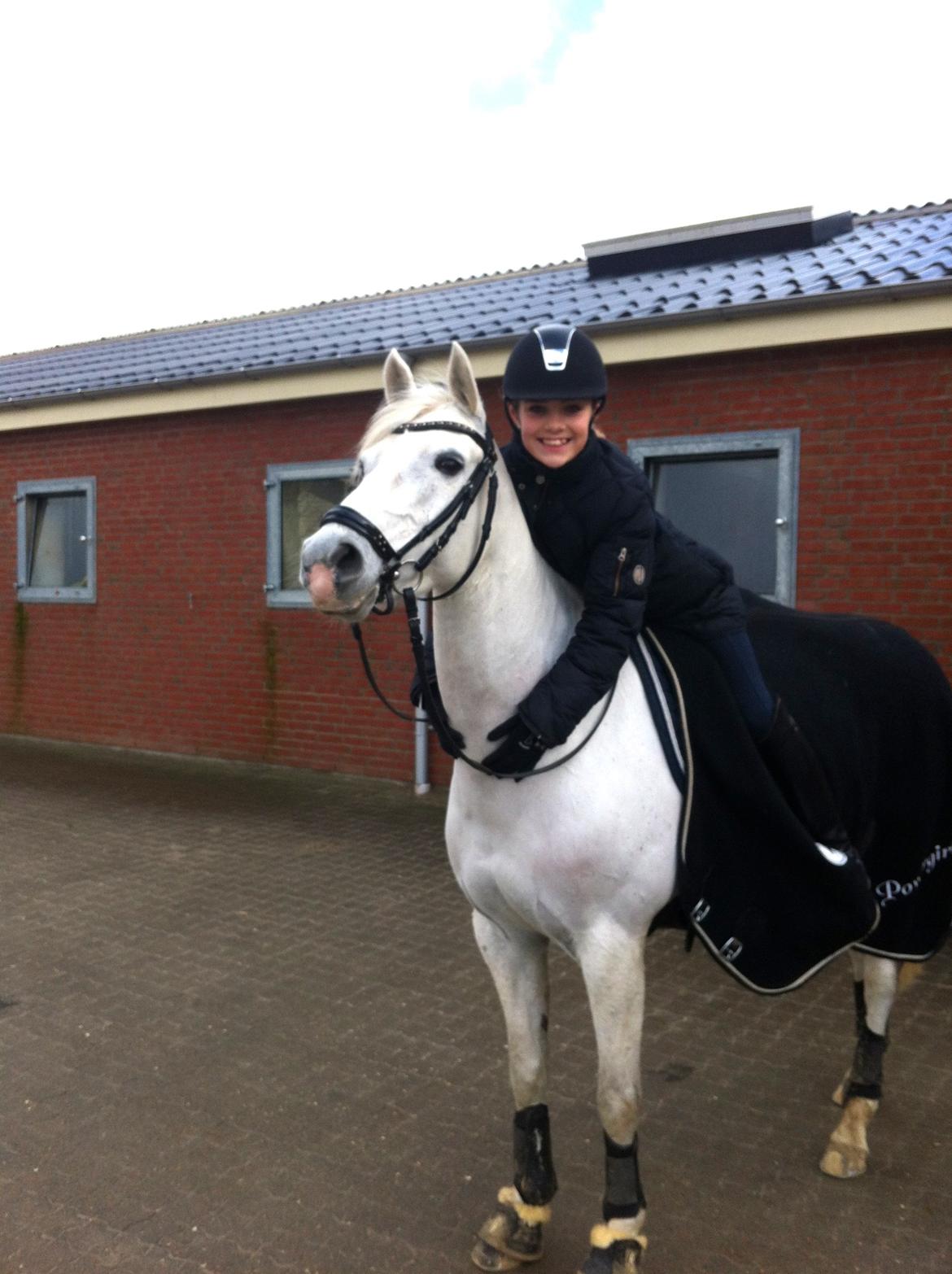 Hollandsk Sportspony Powergirl A-PONY - Nyrere billeder er inde nuuu :)) billede 7