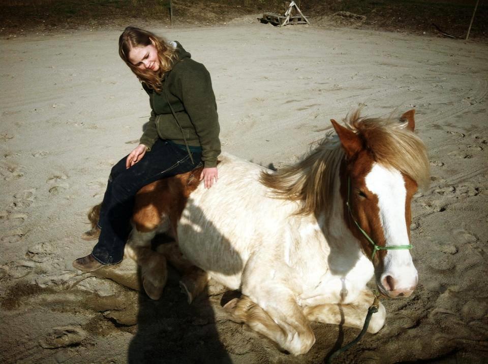 Pinto Lavida billede 7