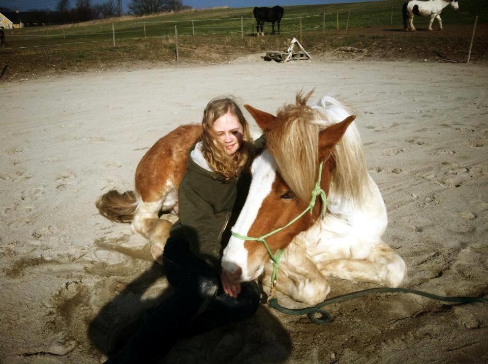 Pinto Lavida billede 8