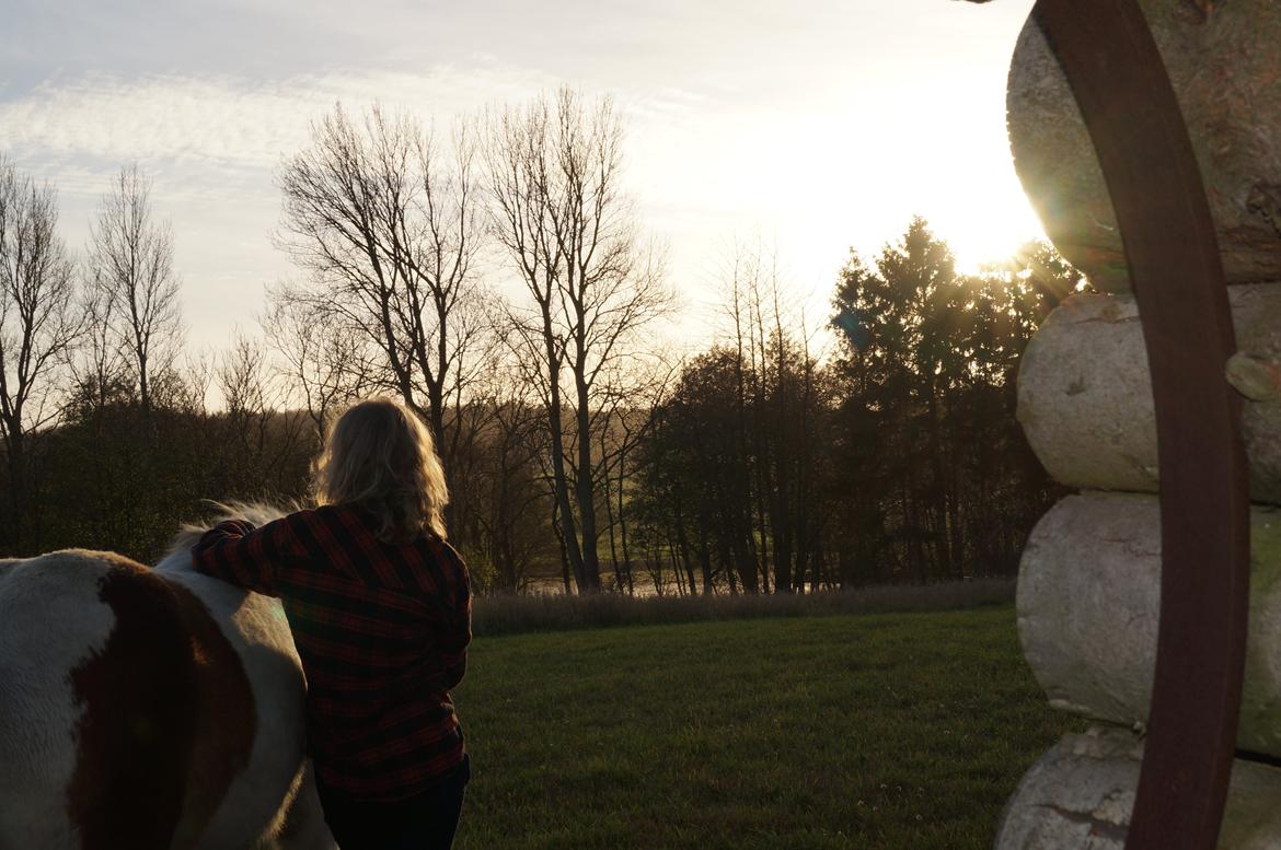 Pinto Lavida billede 12