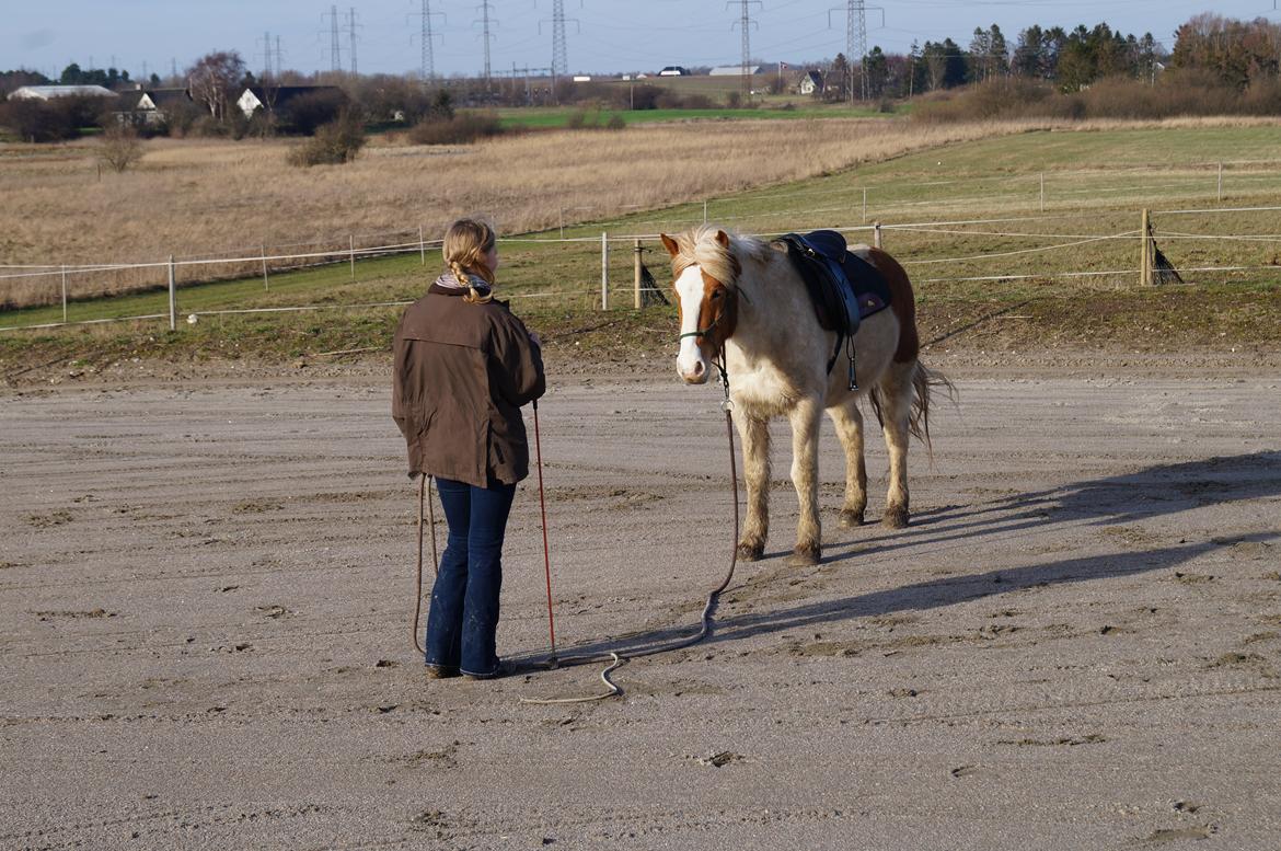 Pinto Lavida billede 5