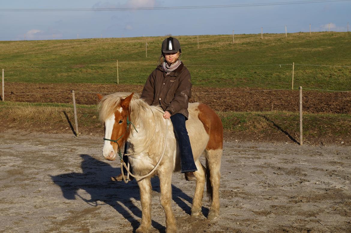 Pinto Lavida billede 14