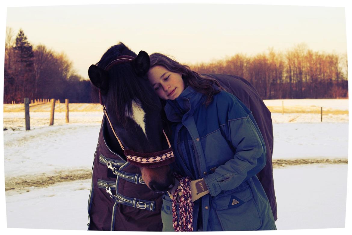Trakehner Beautyful Diva - I'm half a heart without you - Vinteren 2011 - Fotograf: Mor billede 7
