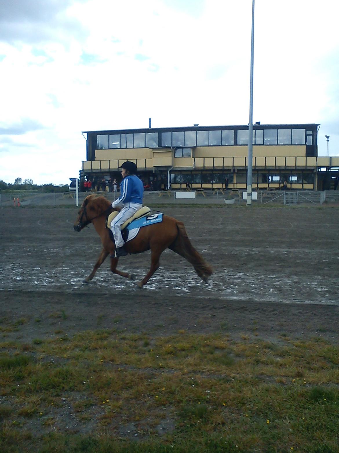 Anden særlig race Molly (SOLGT) <3 billede 23