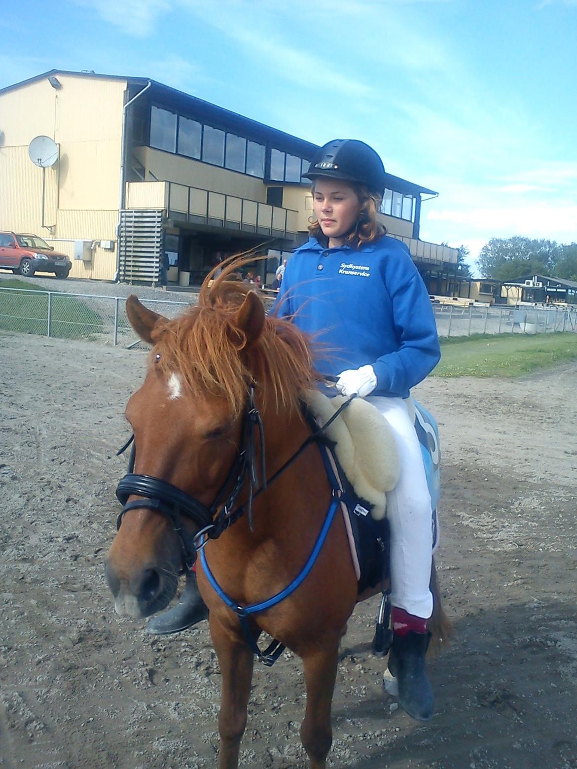 Anden særlig race Molly (SOLGT) <3 billede 28