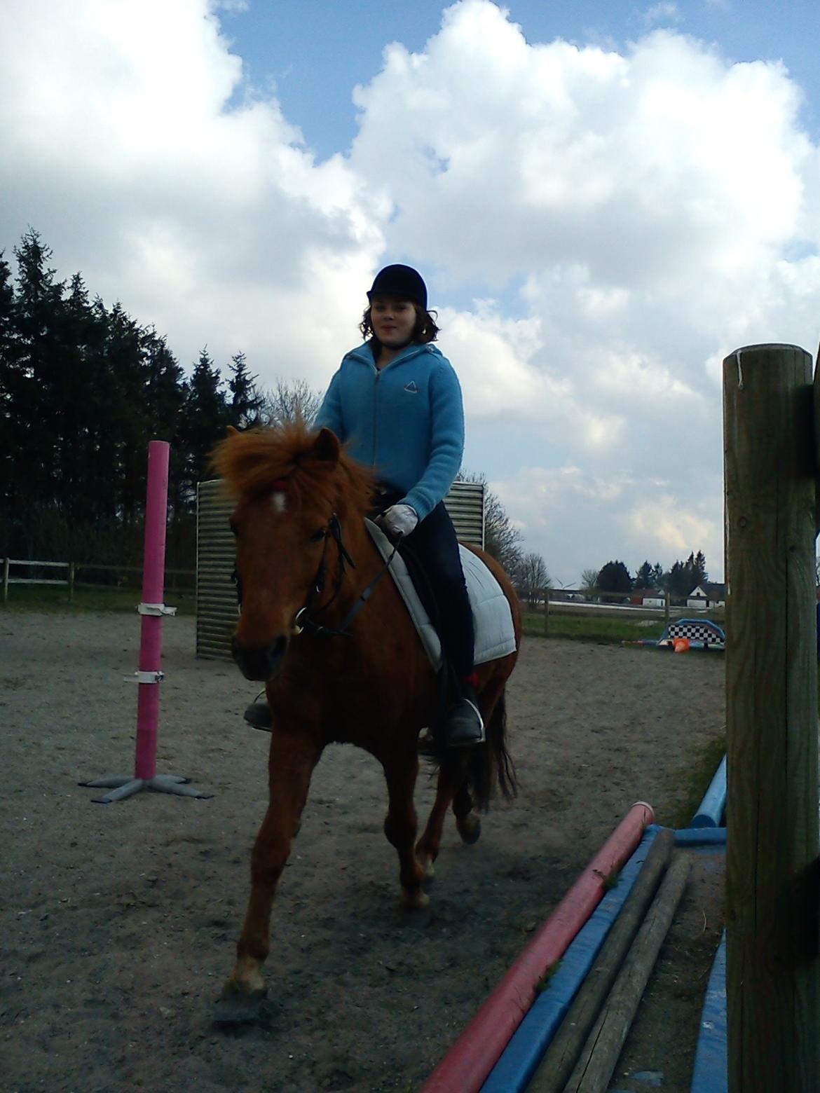 Anden særlig race Molly (SOLGT) <3 billede 24