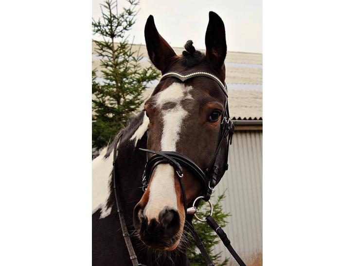 {{currentPhoto.altText}} billede {{currentPhoto.number}}