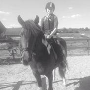 Anden særlig race Maj