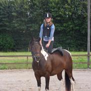 Anden særlig race Maj