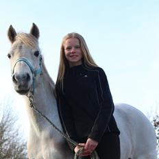 Anden særlig race Mille