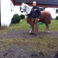 Irsk Sportspony Dalestown Double Trouble