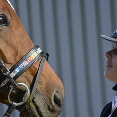 Trakehner Lalandia (Nulle) *RIP D. 24/7-15*