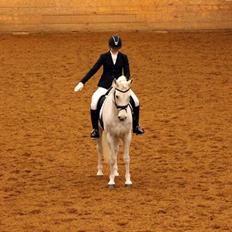 Connemara Hesselholt's Casano B-pony