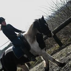 Anden særlig race Thor