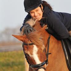 New Forest Folehaves Nathali * klubmester i spring 2013*