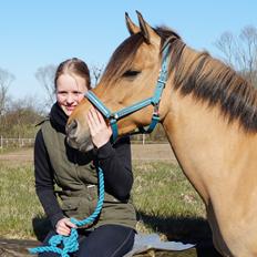 Anden særlig race Zenta