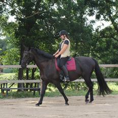 Oldenborg Uttrupgårds Prinsesse <3 Himmelhest <3