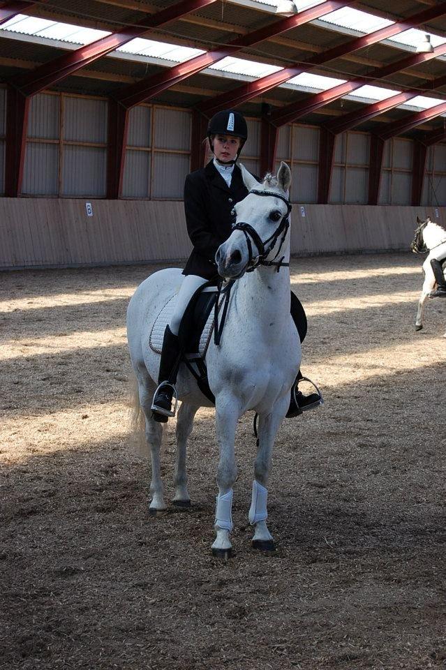 Anden særlig race Lucas billede 8