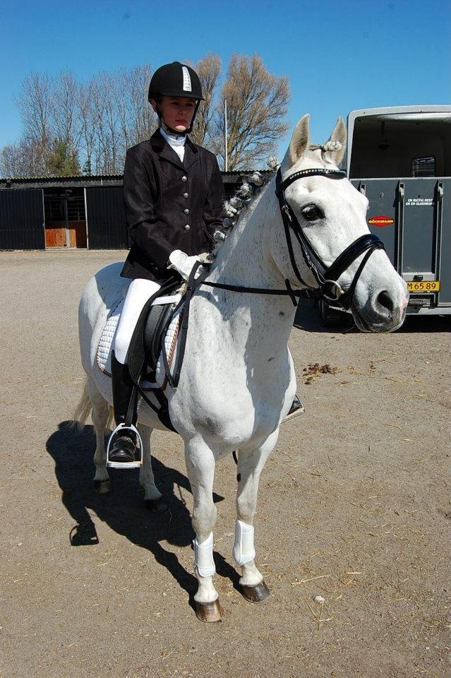 Anden særlig race Lucas billede 9