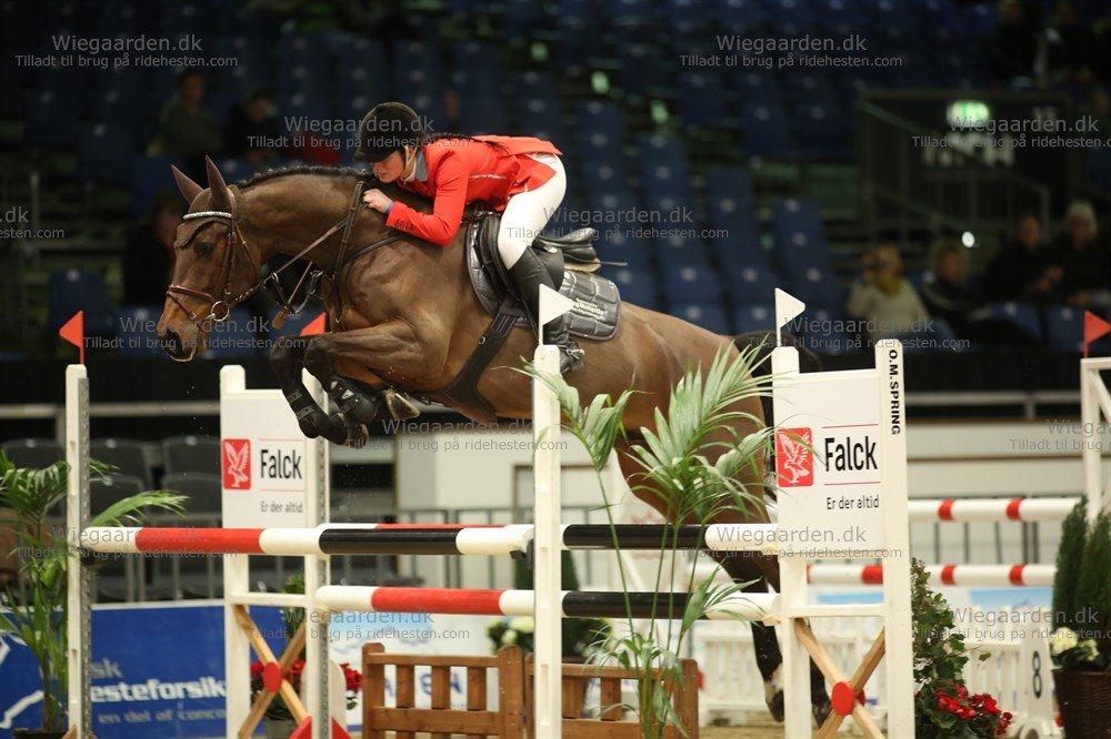 Dansk Varmblod Happy Heart C  - Happy og hans gamle ejer Nanna i finalen for 4 og 5 års hestene i Herning 2013  billede 12