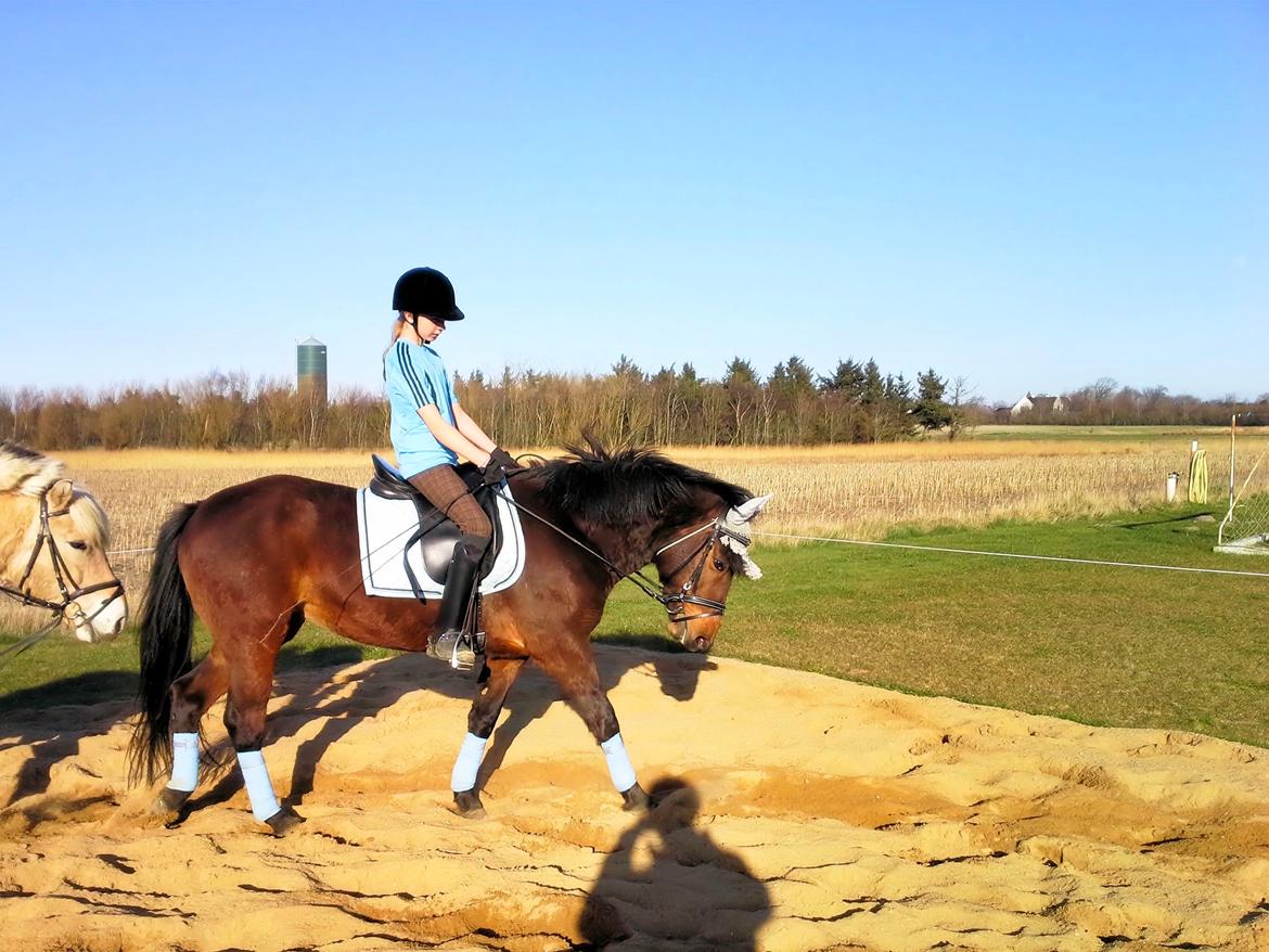 Anden særlig race MUFASJA *FASJA* søsters - Skønne Fasja går til bidet med Malene <3 2014 billede 15
