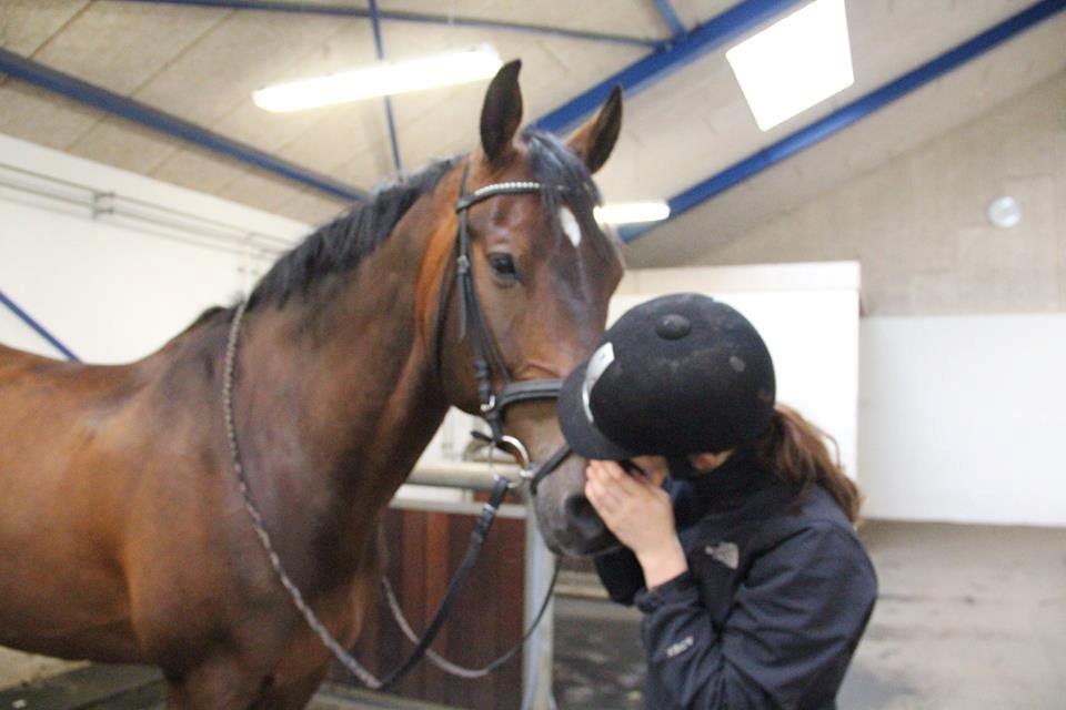 Holstener Monokrat Essenbæk - Monty - Dette er ikke et kvalitetsmæssigt godt billede - alligevel betyder det alverden for mig! Hvor jeg dog elsker og savner den hest <3 billede 20