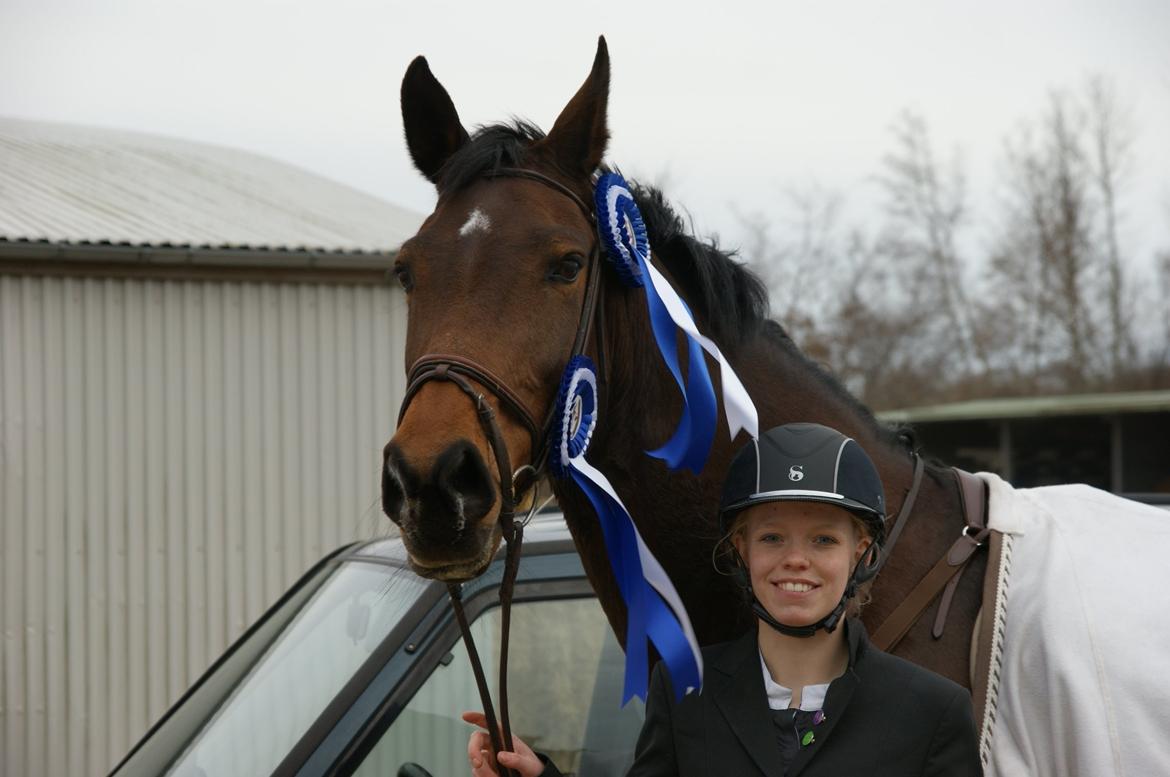 Zangersheide D. Chriesafie Z billede 15