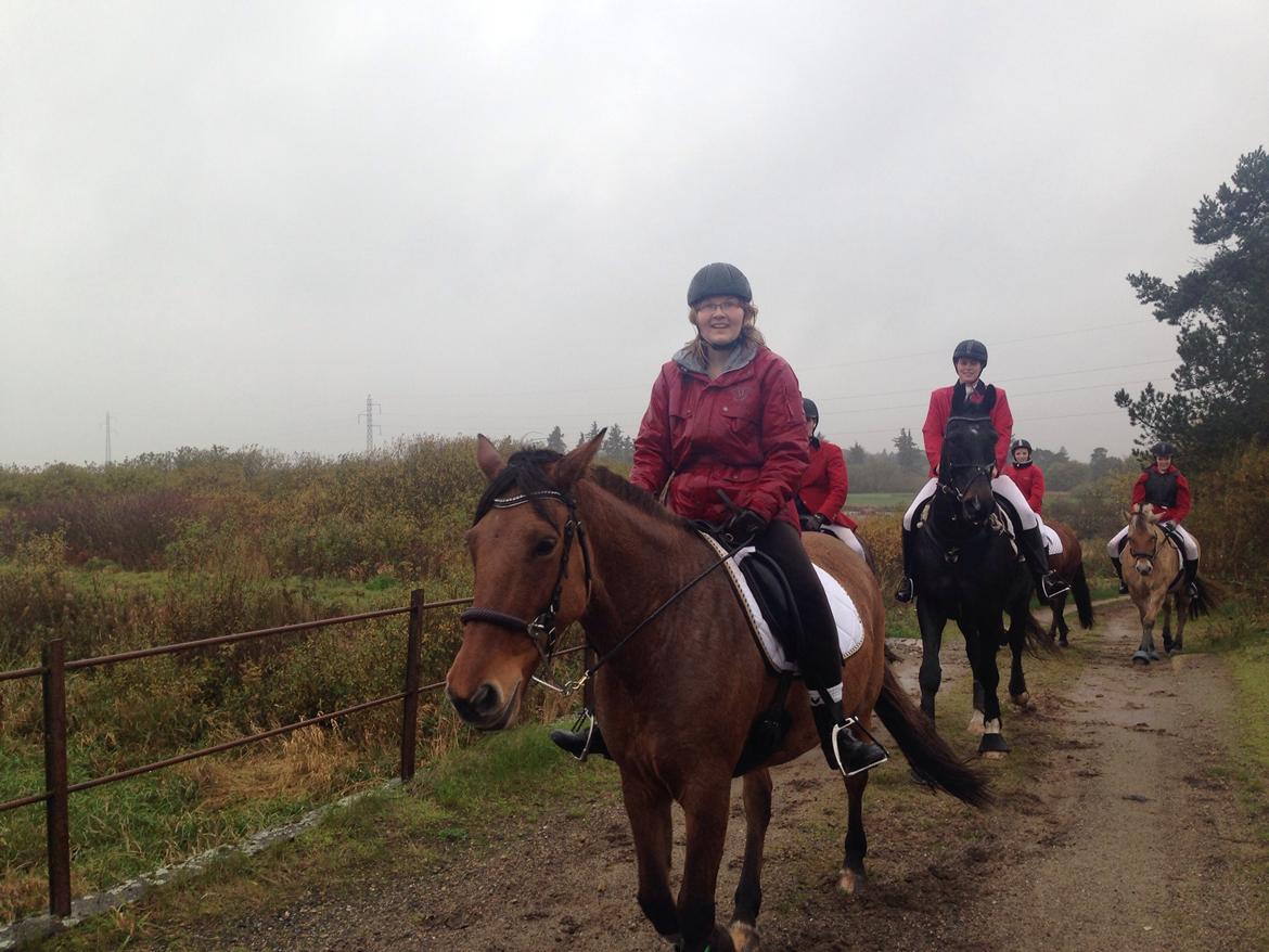 Anden særlig race Naja billede 11