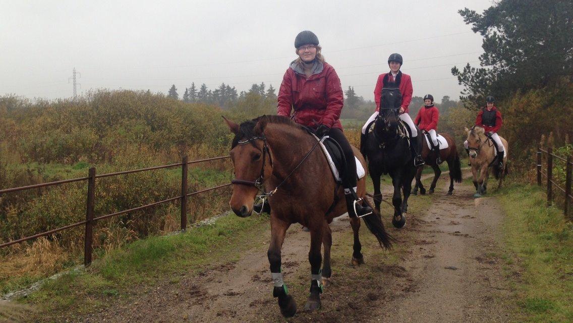 Anden særlig race Naja billede 12