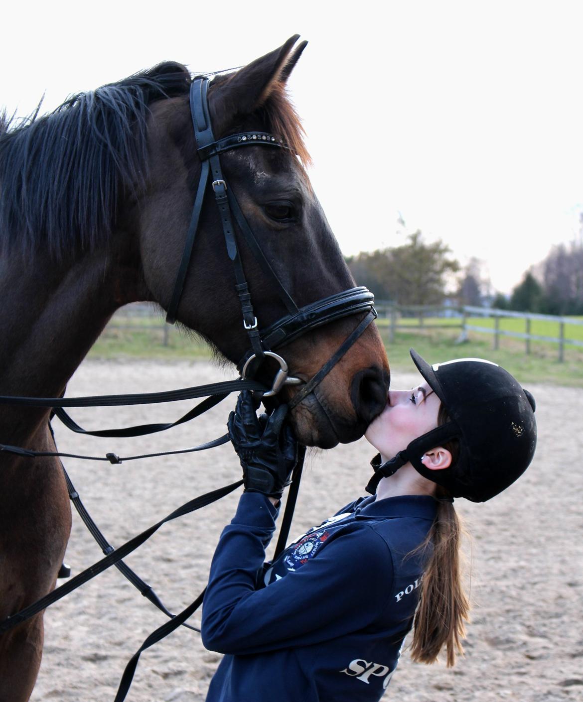 Fuldblod (XX) Timo - 14/3 - 14 min ynglings hest billede 8