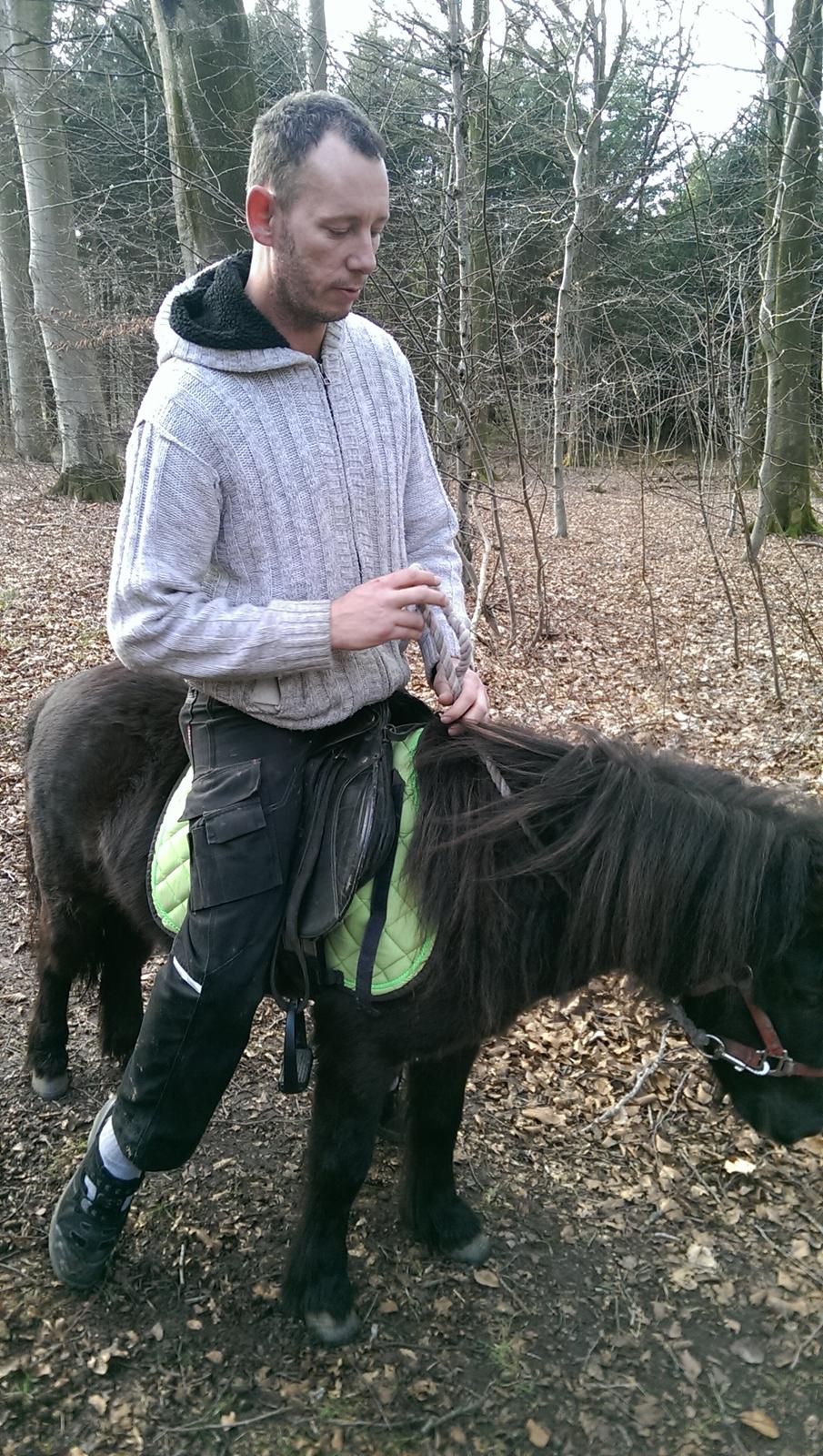 Shetlænder Djoeke van Wommels billede 9
