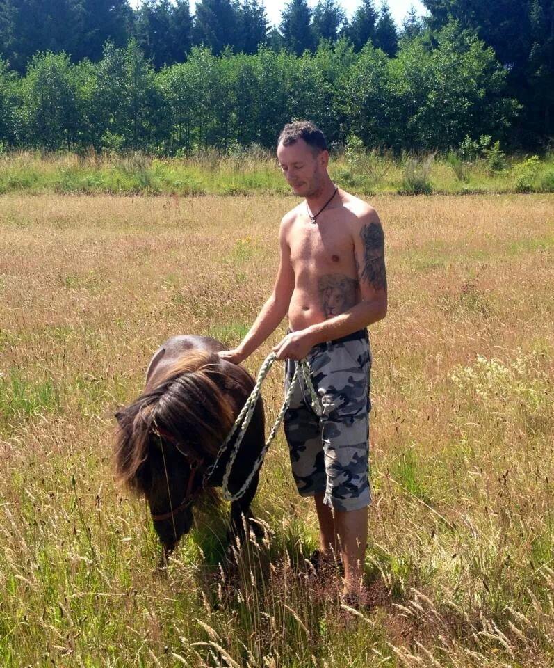 Shetlænder Djoeke van Wommels billede 11