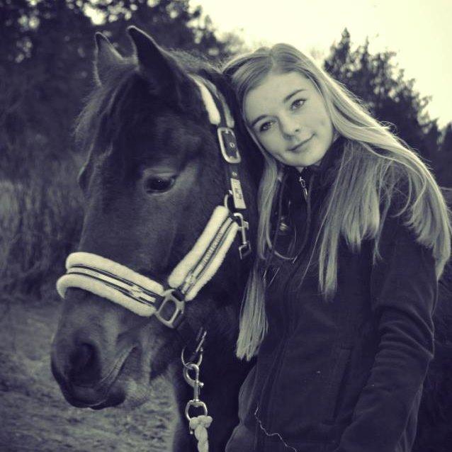 New Forest Angelina Bay -Drømmeponyen- billede 7