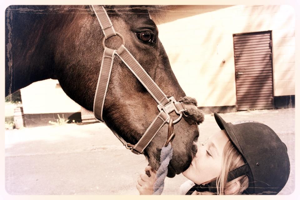 Anden særlig race Django - min engel billede 25