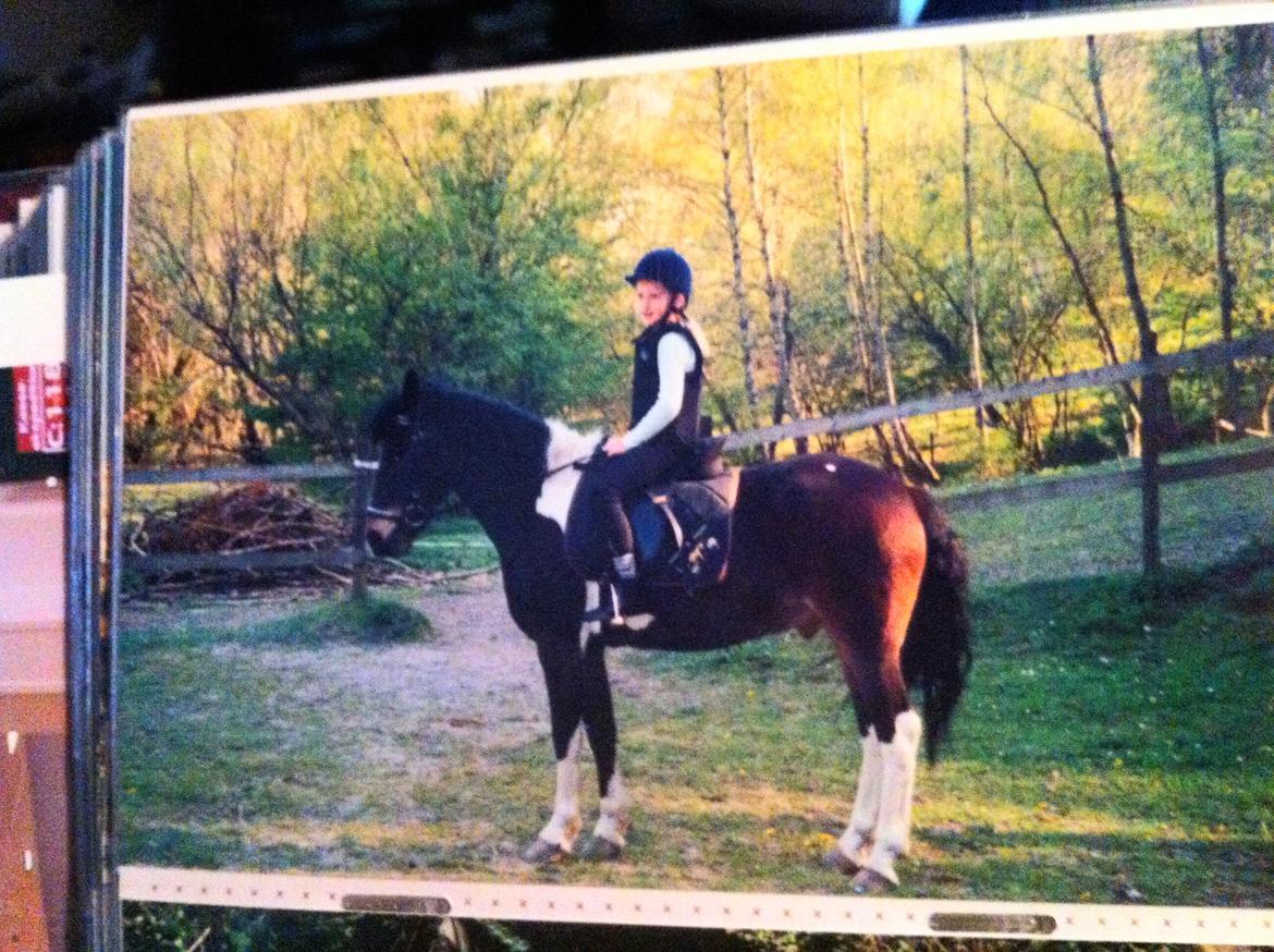 Anden særlig race Django - Min første tur på Django nogensinde. Der er godt nok sket meget siden dengang :)  billede 17