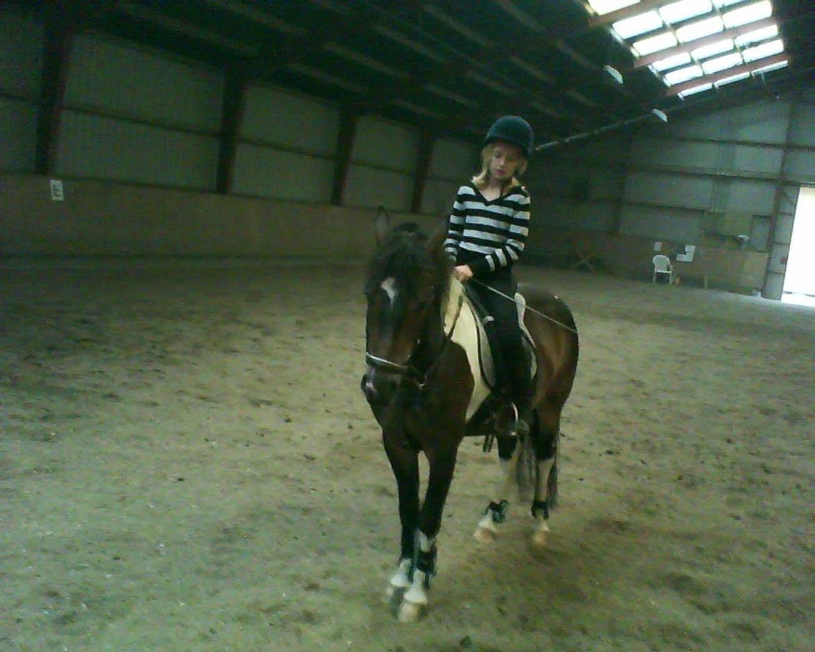 Anden særlig race Django - Django og jeg på Kærgaarden - 2008 billede 29