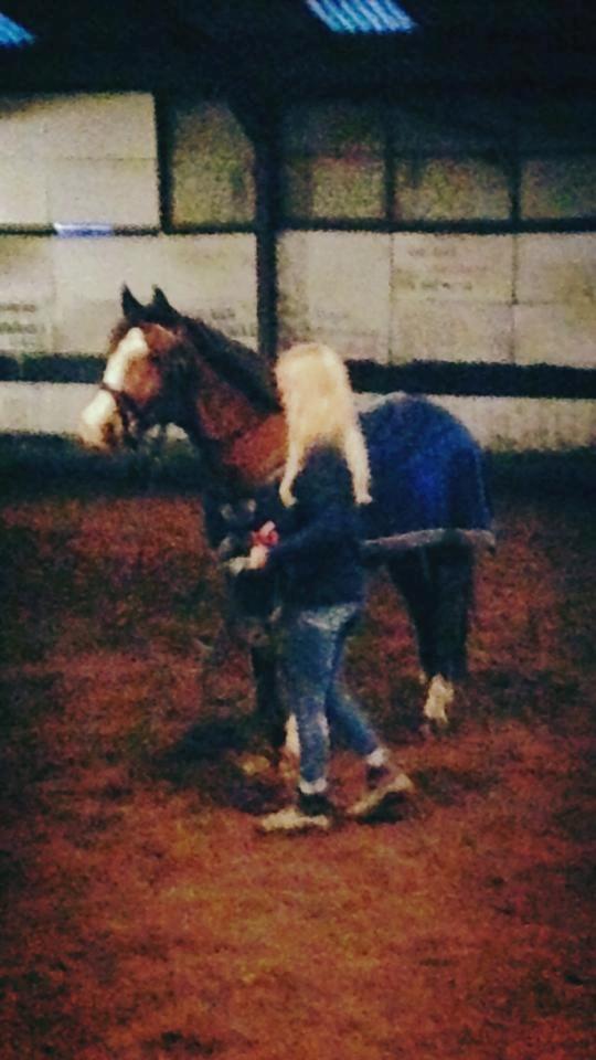 Anden særlig race Django [tidligere lånepony] - Longering :) billede 16