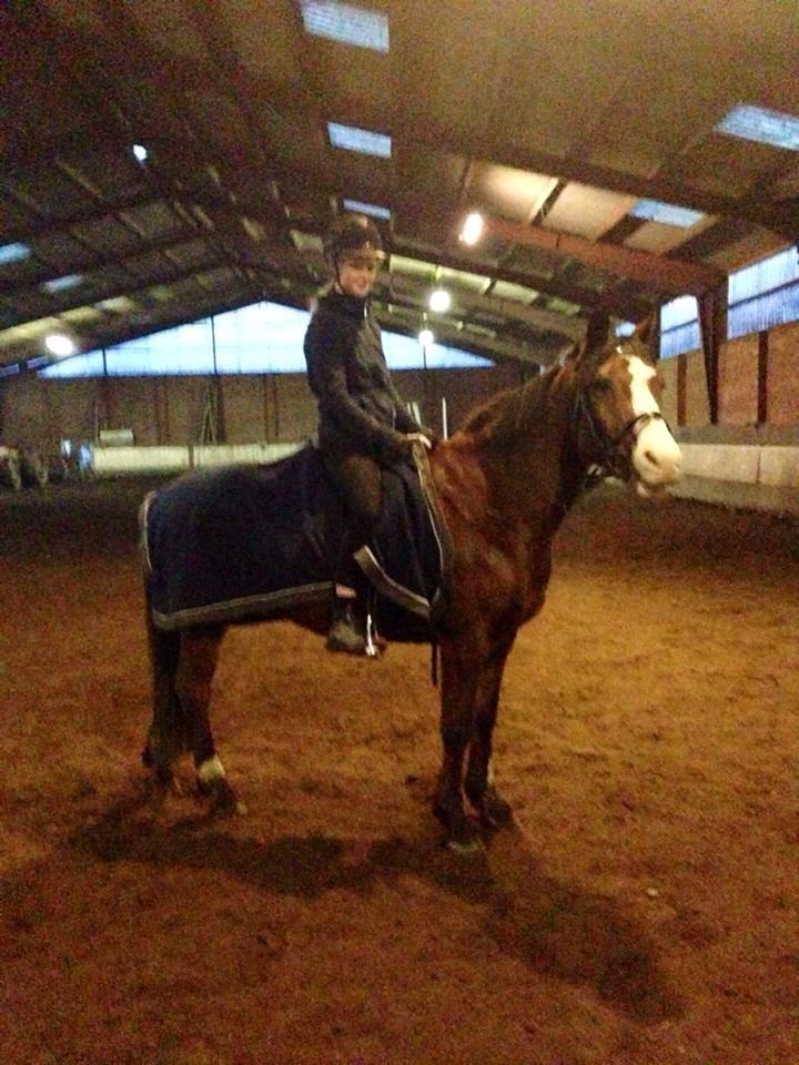 Anden særlig race Django [tidligere lånepony] - I hallen billede 13