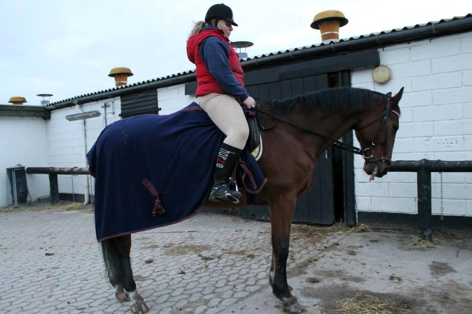 Dansk Varmblod Comet <3 * SOULMATE* - Taget af: Mia Knudsen billede 5