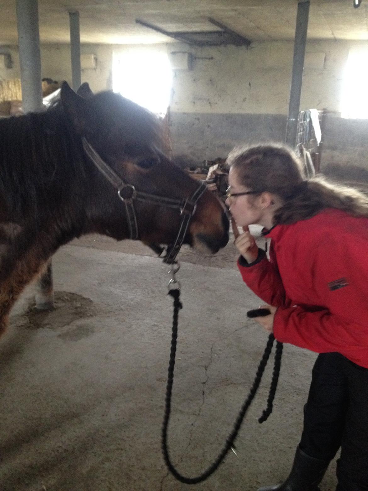 Anden særlig race Berta - Mys! billede 15