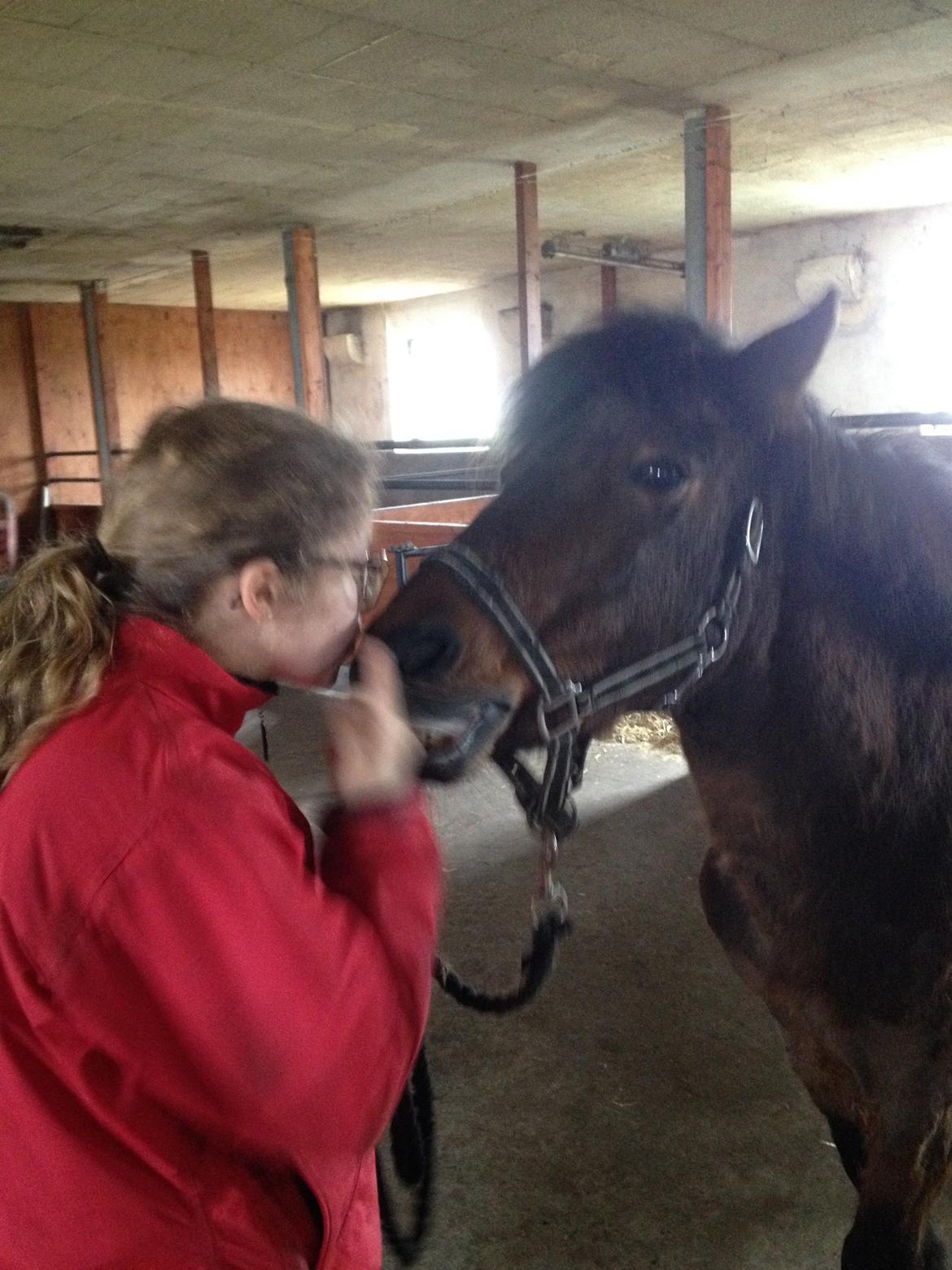 Anden særlig race Berta - Mys! billede 16
