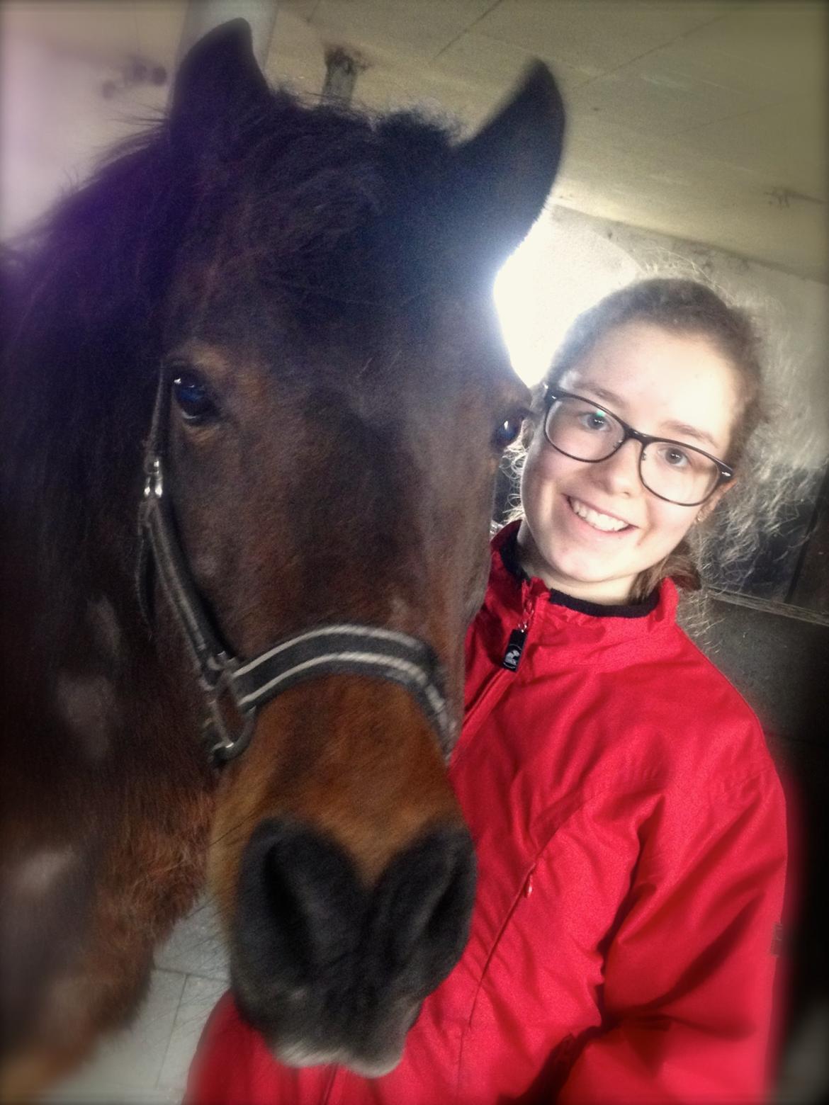 Anden særlig race Berta billede 2