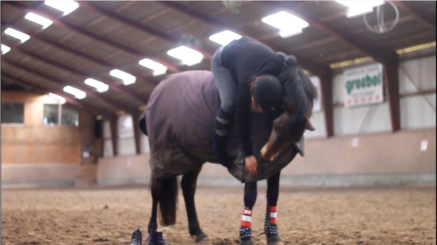 Hollandsk Sportspony Floortje - A true friend! Elsker dig Muller ♥ billede 16